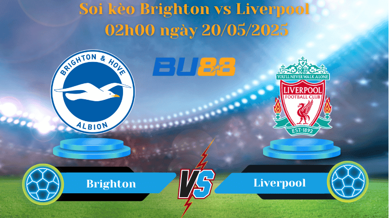 BU88 Nhận định soi kèo Brighton vs Liverpool 02h00 ngày 20/05/2025 - Ngoại hạng Anh