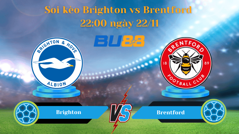BU88 Nhận định soi kèo Brightonc - Brentford 22:00 ngày 22/11 -  Ngoại Hạng Anh.