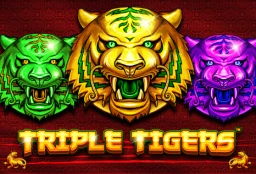 BU88 Triple Tigers