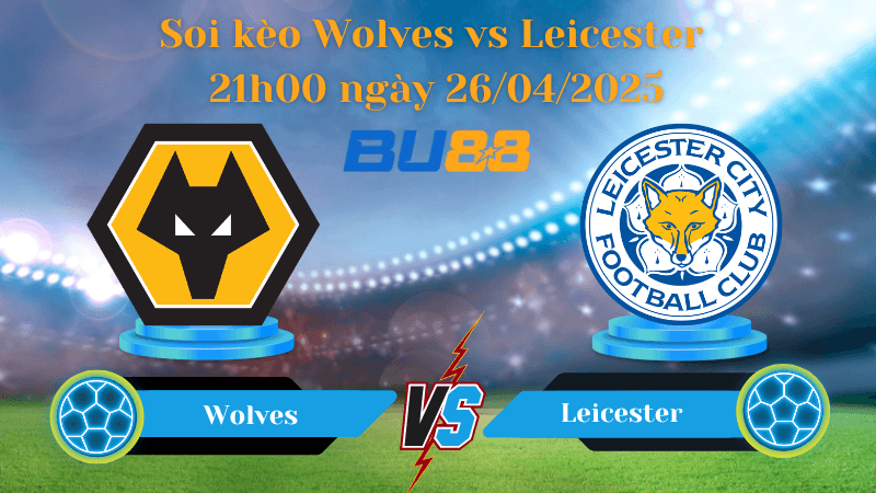 BU88 Nhận định soi kèo Wolves vs Leicester 21h00 ngày 26/04/2025 - Ngoại hạng Anh