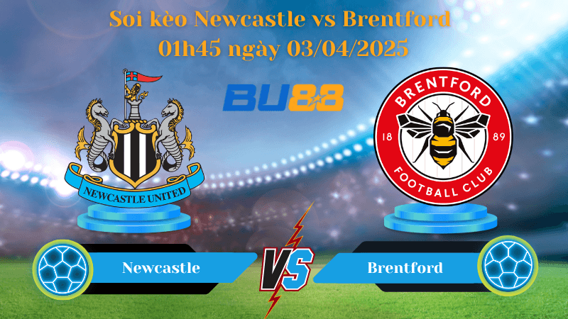 BU88 Nhận định soi kèo Newcastle vs Brentford 01h45 ngày 03/04/2025 - Ngoại hạng Anh
